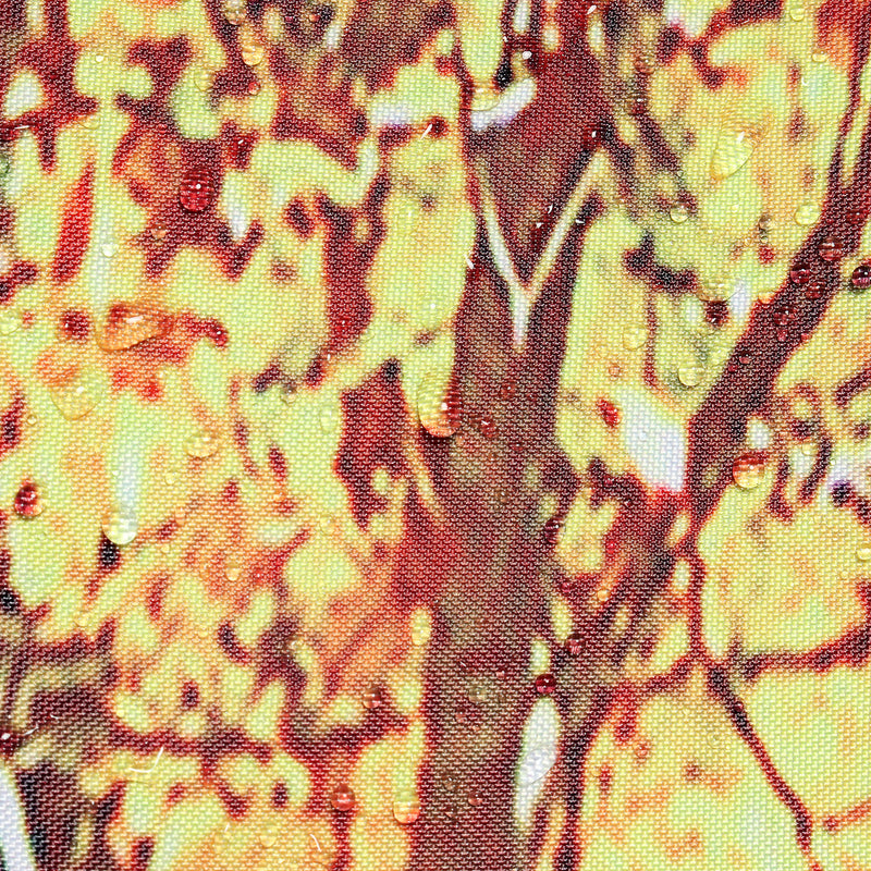 71''x71'' Autumn Leaves Pattern Waterproof Polyester Shower Curtain Bathroom Fabric with 12 Hooks