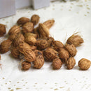 Egrow 5 Pcs/Pack Potted Bamboo Seeds Home Decoration Areca Palm Bonsai Butterfly Palm Plants Bonsai