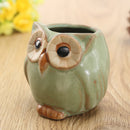 Garden Decorations Ceramic Owl Succulent Plants Flower Pot Mini Plant Planters