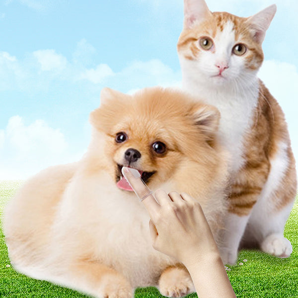20pcs Super Soft Pet Finger Toothbrush Dog Cat Brush Addition Bad Breath