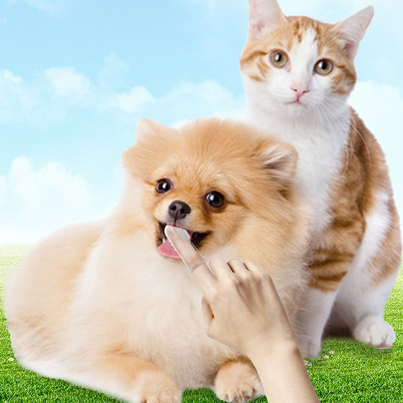 20pcs Super Soft Pet Finger Toothbrush Dog Cat Brush Addition Bad Breath