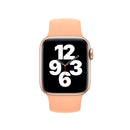 For Apple Watch Series 7 41mm / 6 & SE & 5 & 4 40mm / 3 & 2 & 1 38mm Solid Color Elastic Silicone Watch Band, Size:M 143mm (Cantaloupe)