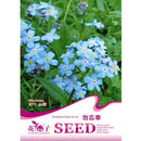 50pcs Myosotis Sylvatica Grass Seeds Green Garden Plant