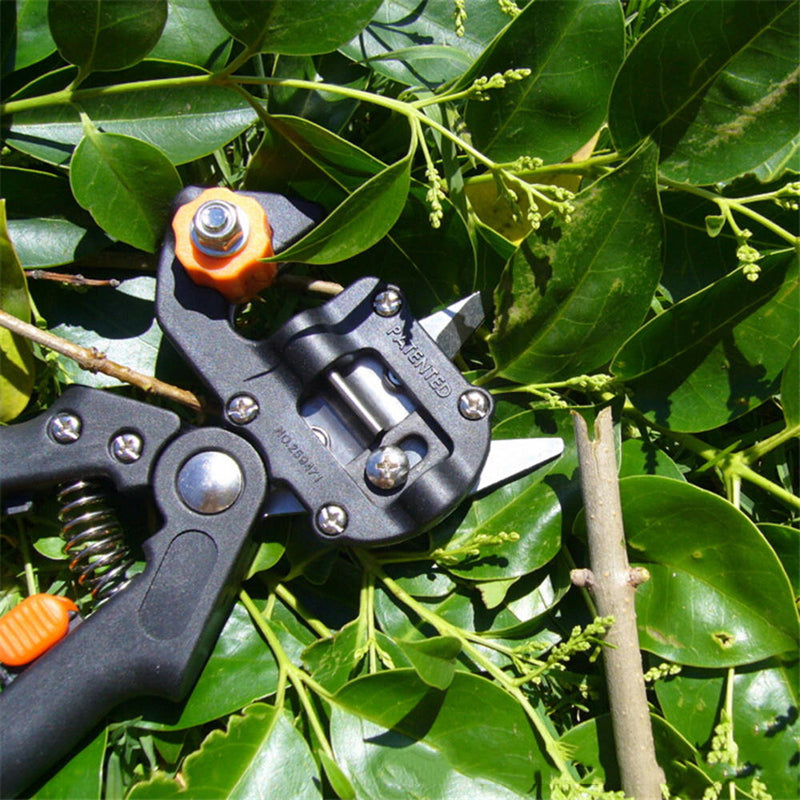 Black Grafting Kit Pruning Pruner Cutting Tools Kit for Garden Fruit Trees