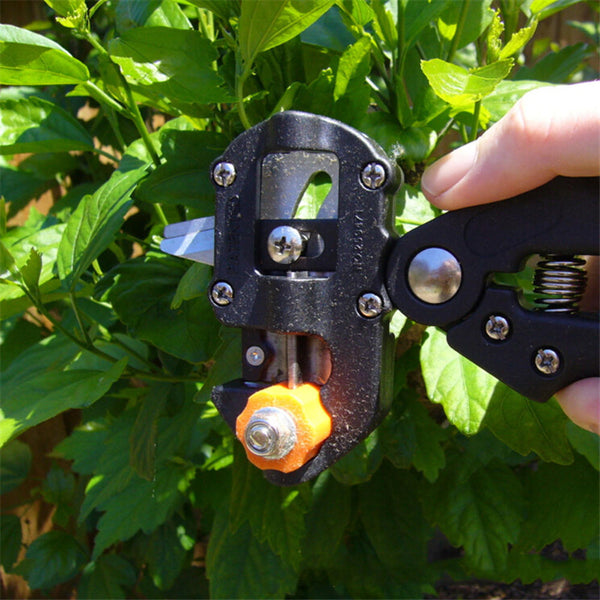 Black Grafting Kit Pruning Pruner Cutting Tools Kit for Garden Fruit Trees