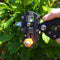 Black Grafting Kit Pruning Pruner Cutting Tools Kit for Garden Fruit Trees