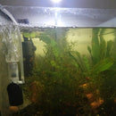 Fish Tank Small Pneumatic Filter Accessories Mini Water Pneumatic Filter  gfsf