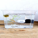 Fish Tank Small Pneumatic Filter Accessories Mini Water Pneumatic Filter  gfsf