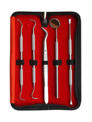5 pcs Stainless Steel Dentist Tools Hygiene Teeth Oral Clean Tooth Dental Kit