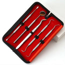 5 pcs Stainless Steel Dentist Tools Hygiene Teeth Oral Clean Tooth Dental Kit