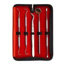 5 pcs Stainless Steel Dentist Tools Hygiene Teeth Oral Clean Tooth Dental Kit