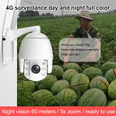 QX2 4G (EU Version) 1080P HD 360 Degrees Panoramic Day and Night Full-color Waterproof Smart Camera, Support Motion Detection / Two-way Voice / TF Card, AU Plug
