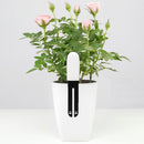 International Version Original Xiaomi Mi Bluetooth Smart Plants Monitor Flower and Plants Tester Mi Plants Nutrient / Soil Moisture / Temperature / Light Sensor Detector(White)