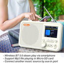 C10 2.4 inch Portable Color LCD FM / DAB Digital Radio, Support BT & TF Card (White)