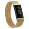 Stainless Steel Magnet Watch Band for FITBIT Charge 3, Size:Large, 217x18mm(Gold)