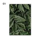 Plant Leaves Print Canvas Unframed Wall Oil Painting Home Hotel Room Decoration