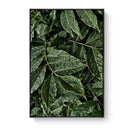Plant Leaves Print Canvas Unframed Wall Oil Painting Home Hotel Room Decoration