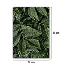 Plant Leaves Print Canvas Unframed Wall Oil Painting Home Hotel Room Decoration