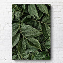 Plant Leaves Print Canvas Unframed Wall Oil Painting Home Hotel Room Decoration