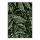 Plant Leaves Print Canvas Unframed Wall Oil Painting Home Hotel Room Decoration