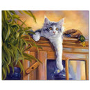 DIY Digital Oil Painting Kits Paint by Numbers on Canvas Scenery Home Decor Gift