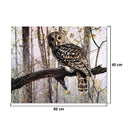 DIY Digital Oil Painting Kits Paint by Numbers on Canvas Scenery Home Decor