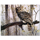 DIY Digital Oil Painting Kits Paint by Numbers on Canvas Scenery Home Decor