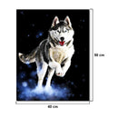 Hand Painted Animal DIY Oil Painting by Numbers Canvas Kits Room Decor Gift