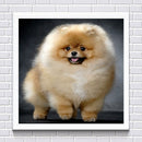 Part Drill Dog 5D DIY Diamond Painting Cross Stitch Embroidery Art Home Decor Ki