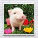 Full Drill Pig 5D DIY Diamond Painting Cross Stitch Embroidery Art Home Decor