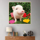 Pig Full 5D Diamond Painting Embroidery Cross DIY Stitch Kits Home Wall