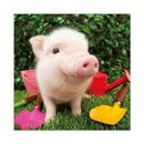 Pig Full 5D Diamond Painting Embroidery Cross DIY Stitch Kits Home Wall