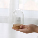 Wooden Base Glass Cloche Dome Cover Display Centerpiece Tabletop Decoration