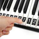 4pcs Piano Keyboard Stickers Speeds memory of the keys 54 61 or 88-KEY Music