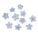50 pcs Dried Flowers Nail Art DIY Bottle Decoration Preserved Flower Decorations
