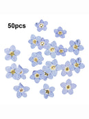 50 pcs Dried Flowers Nail Art DIY Bottle Decoration Preserved Flower Decorations