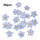 50 pcs Dried Flowers Nail Art DIY Bottle Decoration Preserved Flower Decorations