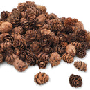 100pcs Mini Decorative Pinecone Pine Cones for Vase Bowl Filler Display Decor