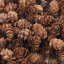 100Pcs Natural Dried Pine Cones Mini Size for Vase Filler Crafting Decoration