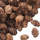 100Pcs Natural Dried Pine Cones Mini Size for Vase Filler Crafting Decoration