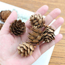 100Pcs Natural Dried Pine Cones Mini Size for Vase Filler Crafting Decoration