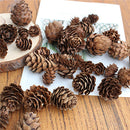 100pcs Mini Decorative Pinecone Pine Cones for Vase Bowl Filler Display Decor