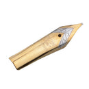 Calligraphy Fountain Pen 0.5mm Nibs Transparent Use for Calligrapher *10