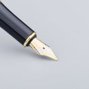 Calligraphy Fountain Pen 0.5mm Nibs Transparent Use for Calligrapher *10