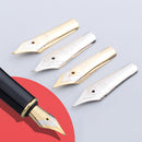 Calligraphy Fountain Pen 0.5mm Nibs Transparent Use for Calligrapher *10