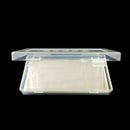 100Pcs Clear Paper Money Currency Storage Pocket Sleeve Kit with 1 Plastic Box
