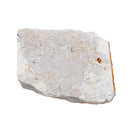 Fish Fossil Specimen Geological-Stone Art-Decor Natural Gift Lycoptera-Plate
