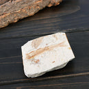 Fish Fossil Specimen Geological-Stone Art-Decor Natural Gift Lycoptera-Plate