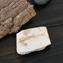 1 Piece Lycoptera Real Fish Fossil from China 150 Million Yr Old Fish Fossils