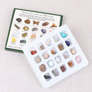 20x Rock Collection Mix Gems Mineral Ore Specimens Box Geology Educational Set